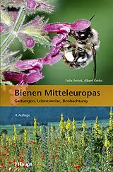 Fester Einband Bienen Mitteleuropas von Felix Amiet, Albert Krebs, Andreas Müller