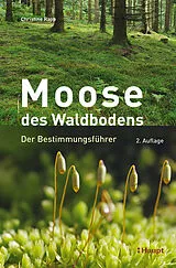 Fester Einband Moose des Waldbodens von Christine Rapp