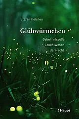 Fester Einband Glühwürmchen von Stefan Ineichen