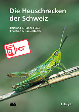 E-Book (pdf) Die Heuschrecken der Schweiz von Bertrand Baur, Hannes Baur, Christian Roesti
