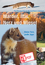 E-Book (pdf) Marder, Iltis, Nerz und Wiesel von Paul Marchesi, Claude Mermod, Hans C. Salzmann