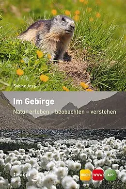 E-Book (epub) Im Gebirge von Sabine Joss