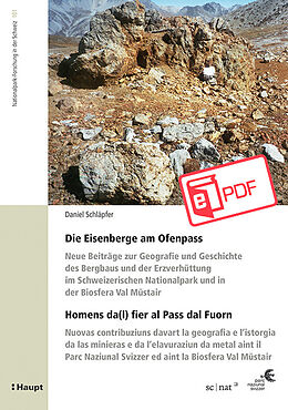 E-Book (pdf) Die Eisenberge am Ofenpass - Homens da(l) fier al Pass dal Fuorn von Daniel Schläpfer