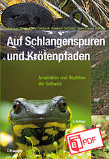 E-Book (pdf) Auf Schlangenspuren und Krötenpfaden von Andreas Meyer, Silvia Zumbach, Benedikt R. Schmidt
