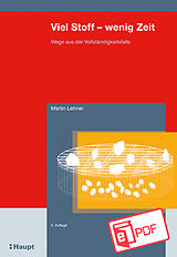 E-Book (pdf) Viel Stoff - wenig Zeit von Martin Lehner
