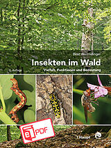E-Book (pdf) Insekten im Wald von Beat Wermelinger