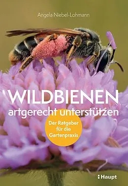 E-Book (pdf) Wildbienen artgerecht unterstützen von Angela K. Niebel-Lohmann