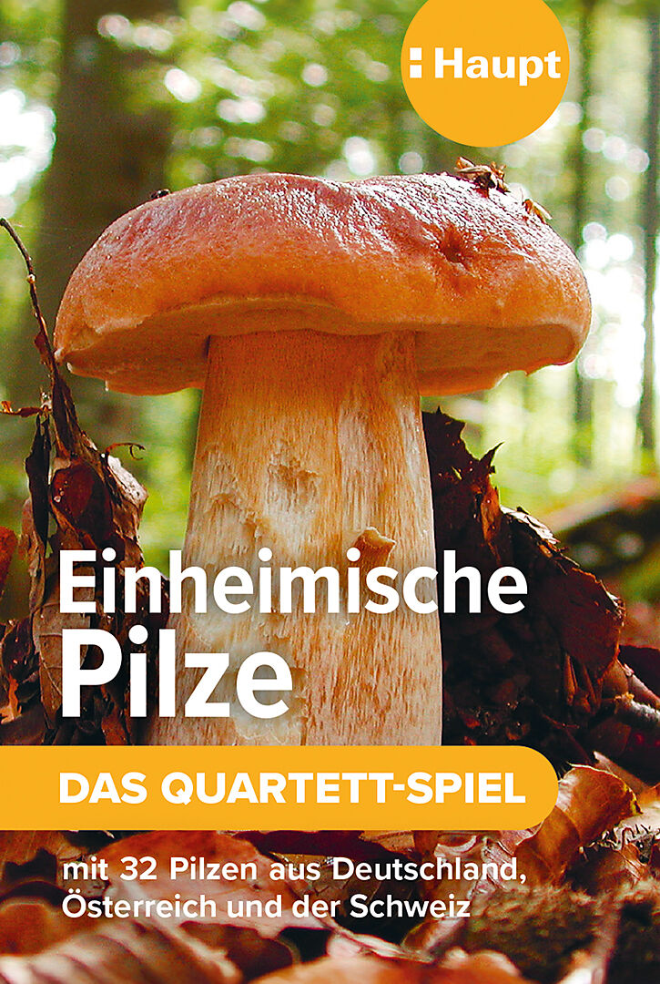 Einheimische Pilze  das Quartett-Spiel