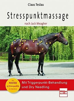 Kartonierter Einband Stresspunktmassage nach Jack Meagher von Claus Teslau