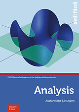 Paperback Analysis  Ausführliche Lösungen von Hansjürg Stocker, Reto Weibel, Marco Schmid