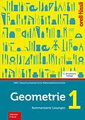 E-Book (pdf) Geometrie 1 - Kommentierte Lösungen von Heinz Klemenz, Michael Graf