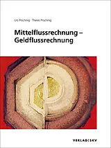 Set mit div. Artikeln (Set) Mittelflussrechnung Geldflussrechnung, Bundle von Urs Prochinig, Theres Prochinig