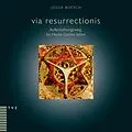E-Book (pdf) via resurrectionis von Josua Boesch