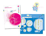 Kartonierter Einband (Kt) SPRACHWELT 1 von Autorinnen- und Autorenteam