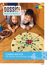Kartonierter Einband Dossier MATHWELT: SCHÖNE MUSTER von Autorinnenteam