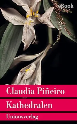 E-Book (epub) Kathedralen von Claudia Piñeiro