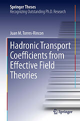 eBook (pdf) Hadronic Transport Coefficients from Effective Field Theories de Juan M. Torres-Rincon