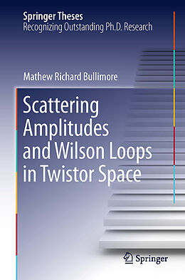 E-Book (pdf) Scattering Amplitudes and Wilson Loops in Twistor Space von Mathew Richard Bullimore