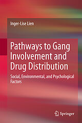eBook (pdf) Pathways to Gang Involvement and Drug Distribution de Inger-Lise Lien