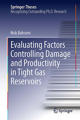 E-Book (pdf) Evaluating Factors Controlling Damage and Productivity in Tight Gas Reservoirs von Nick Bahrami