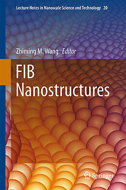 Fester Einband FIB Nanostructures von 