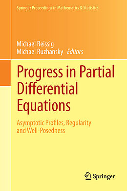 Kartonierter Einband Progress in Partial Differential Equations von 