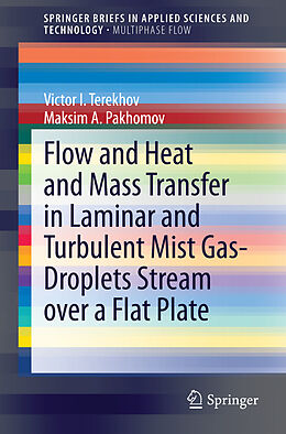 Kartonierter Einband Flow and Heat and Mass Transfer in Laminar and Turbulent Mist Gas-Droplets Stream over a Flat Plate von Maksim A. Pakhomov, Victor I. Terekhov