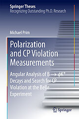 eBook (pdf) Polarization and CP Violation Measurements de Michael Prim