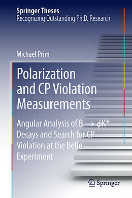 eBook (pdf) Polarization and CP Violation Measurements de Michael Prim