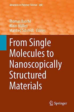 Fester Einband From Single Molecules to Nanoscopically Structured Materials von 