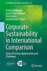 eBook (pdf) Corporate Sustainability in International Comparison de Stefan Schaltegger, Sarah Elena Windolph, Dorli Harms