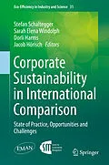 E-Book (pdf) Corporate Sustainability in International Comparison von Stefan Schaltegger, Sarah Elena Windolph, Dorli Harms