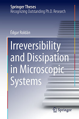 Fester Einband Irreversibility and Dissipation in Microscopic Systems von Édgar Roldán