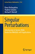 E-Book (pdf) Singular Perturbations von Elena Shchepakina, Vladimir Sobolev, Michael P. Mortell