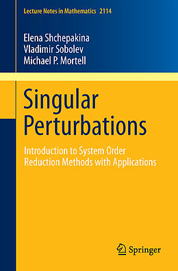 E-Book (pdf) Singular Perturbations von Elena Shchepakina, Vladimir Sobolev, Michael P. Mortell