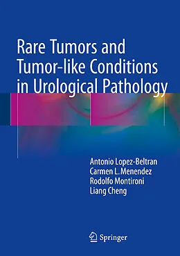 E-Book (pdf) Rare Tumors and Tumor-like Conditions in Urological Pathology von Antonio Lopez-Beltran, Carmen L. Menendez, Rodolfo Montironi
