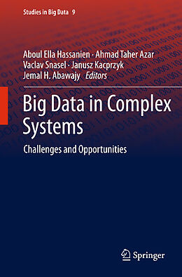 Fester Einband Big Data in Complex Systems von 