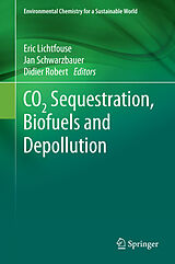 eBook (pdf) CO2 Sequestration, Biofuels and Depollution de 