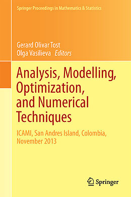 Fester Einband Analysis, Modelling, Optimization, and Numerical Techniques von 
