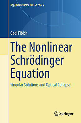 Livre Relié The Nonlinear Schrödinger Equation de Gadi Fibich
