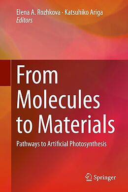 E-Book (pdf) From Molecules to Materials von 