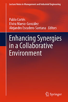 Fester Einband Enhancing Synergies in a Collaborative Environment von 