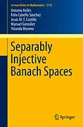 E-Book (pdf) Separably Injective Banach Spaces von Antonio Avilés, Félix Cabello Sánchez, Jesús M. F. Castillo