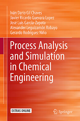 Fester Einband Process Analysis and Simulation in Chemical Engineering von Iván Darío Gil Chaves, Javier Ricardo Guevara López, Gerardo Rodríguez Niño