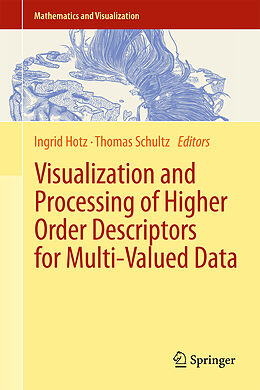 Fester Einband Visualization and Processing of Higher Order Descriptors for Multi-Valued Data von 