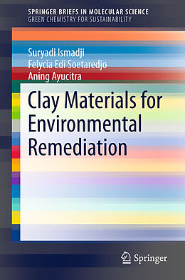 Couverture cartonnée Clay Materials for Environmental Remediation de Suryadi Ismadji, Aning Ayucitra, Felycia Edi Soetaredjo