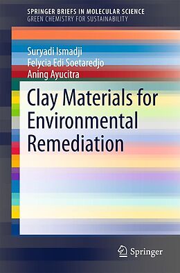 E-Book (pdf) Clay Materials for Environmental Remediation von Suryadi Ismadji, Felycia Edi Soetaredjo, Aning Ayucitra