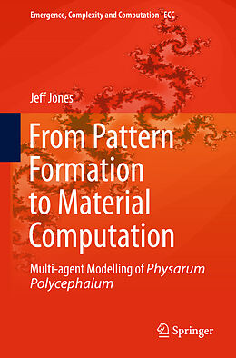 Fester Einband From Pattern Formation to Material Computation von Jeff Jones