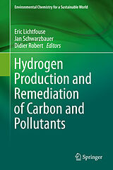 E-Book (pdf) Hydrogen Production and Remediation of Carbon and Pollutants von 