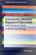 E-Book (pdf) Practical and Laboratory Diagnosis of Tuberculosis von Guadalupe García-Elorriaga, Guillermo Del Rey-Pineda